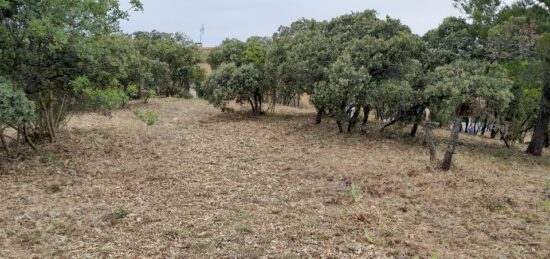 Terrain à bâtir à Villeneuve-lès-Avignon, Occitanie