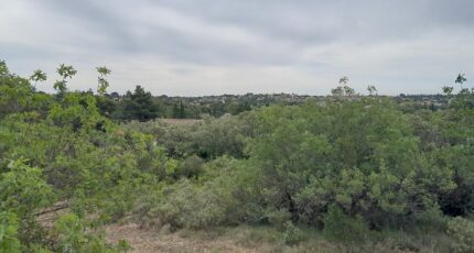 Villeneuve-lès-Avignon Terrain à bâtir - 2513954-695annonce3202605191AtZu.jpeg Maisons Open