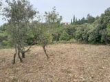  2514001-695annonce420260519wruiF.jpeg Maisons Open