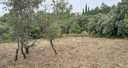 Villeneuve-lès-Avignon Terrain à bâtir - 2514001-695annonce420260519wruiF.jpeg Maisons Open