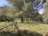  2429975-11680annonce120260216ldNSS.jpeg Maisons Open