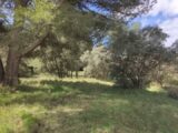  2429975-11680annonce22026021669u5Z.jpeg Maisons Open