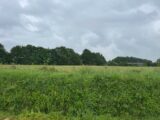  2508523-11827annonce220260512dzWmG.jpeg Maisons Open