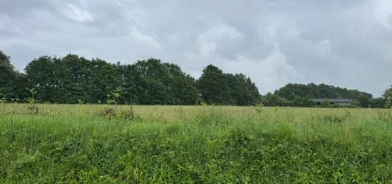 Terrain à bâtir à , Mayenne