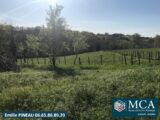  2471220-5828annonce120250318UCJiz.jpeg Maisons Open