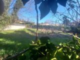  2515077-695annonce320260520U0M03.jpeg Maisons Open