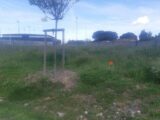  2513096-5202annonce220260518ttT6d.jpeg Maisons Open