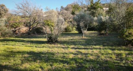 Brignoles Terrain à bâtir - 2515680-11039annonce120260520iU0mC.jpeg Maisons Open