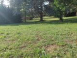  2514650-5604annonce32026051931gSi.jpeg Maisons Open