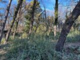  2516121-7060annonce5202605201W3LT.jpeg Maisons Open
