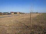  2515111-6130annonce220260520zUV8y.jpeg Maisons Open