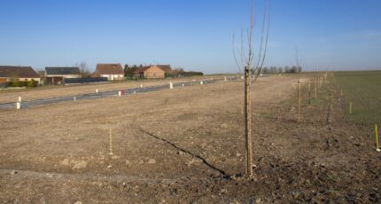 Aubigny-au-Bac Terrain à bâtir - 2515111-6130annonce220260520zUV8y.jpeg Maisons Open