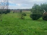  2483993-11516annonce120260521gSoeU.jpeg Maisons Open