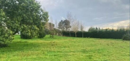 Terrain à bâtir à , Gironde