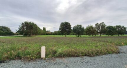 Mornac-sur-Seudre Terrain à bâtir - 2416389-3362annonce120260203l9A1r.jpeg Maisons Open