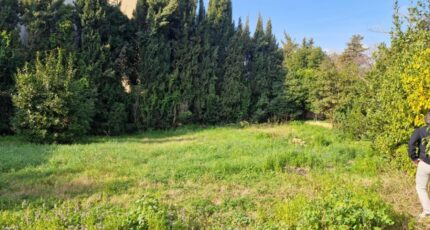 Mougins Terrain à bâtir - 2518420-1836annonce120260522cyA6f.jpeg Maisons Open