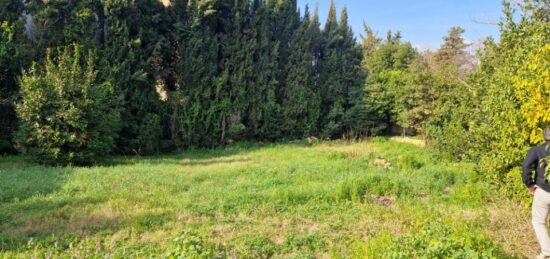 Terrain à bâtir à Mougins, Provence-Alpes-Côte d'Azur