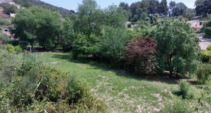 Mougins Terrain à bâtir - 2518420-1836annonce2202605224yFSx.jpeg Maisons Open
