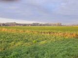  2518164-11632annonce120260522QLNVC.jpeg Maisons Open