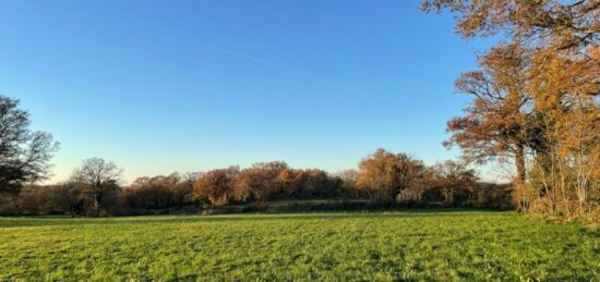 Terrain à bâtir à Argenton-sur-Creuse, Centre-Val de Loire