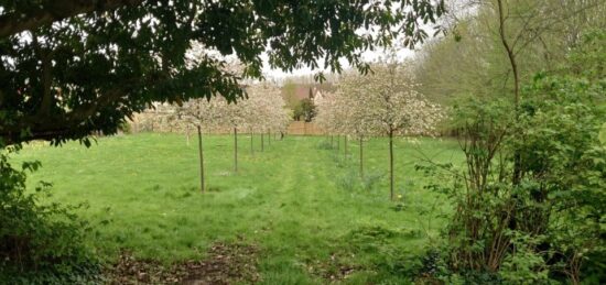 Terrain à bâtir à , Yvelines