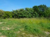  2518779-11870annonce120260522zIR3G.jpeg Maisons Open