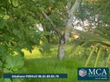 2519494-5828annonce120260116dXbGU.jpeg Maisons Open