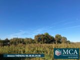  2519642-5828annonce120250709akmCe.jpeg Maisons Open