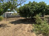  2519818-4590annonce120260525wJ45q.jpeg Maisons Open