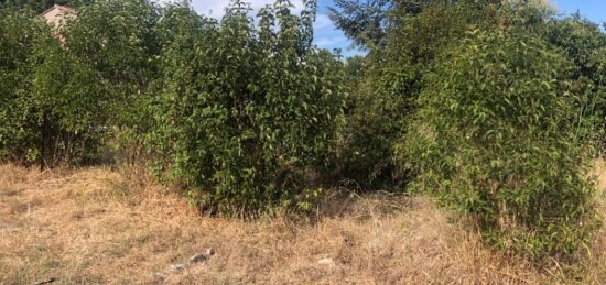 Terrain à bâtir à , Var