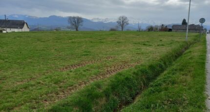 Cieutat Terrain à bâtir - 2520691-10558annonce12026052696Fw0.jpeg Maisons Open