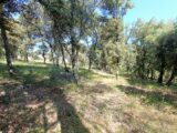  2520696-9911annonce4202605268t8sE.jpeg Maisons Open