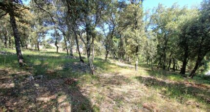 Le Thoronet Terrain à bâtir - 2520696-9911annonce4202605268t8sE.jpeg Maisons Open
