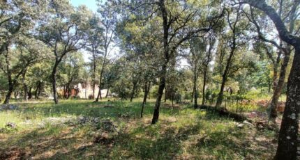 Le Thoronet Terrain à bâtir - 2520696-9911annonce520260526xsaUq.jpeg Maisons Open
