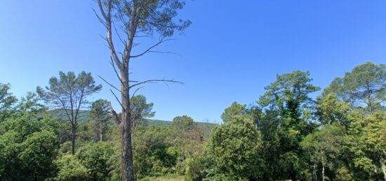 Terrain à bâtir à Le Thoronet, Provence-Alpes-Côte d'Azur