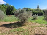 2521258-11041annonce120260527L3q5H.jpeg Maisons Open