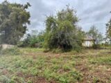  2521265-1093annonce220251111dXZos.jpeg Maisons Open
