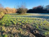  2521541-11677annonce3202605275urNF.jpeg Maisons Open