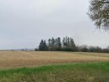  2521760-11786annonce120260527Btora.jpeg Maisons Open