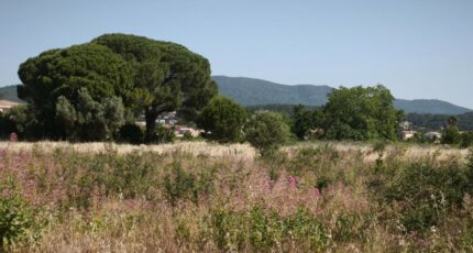 Cuers Terrain à bâtir - 2521999-11039annonce220260527OhFqq.jpeg Maisons Open
