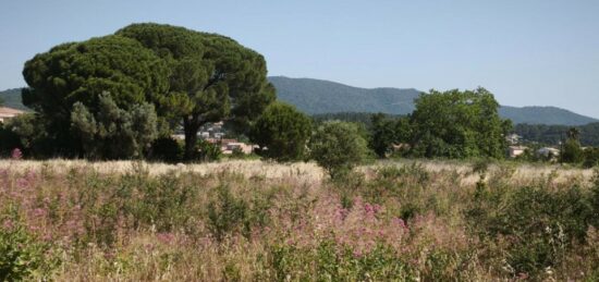 Terrain à bâtir à , Var