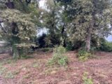  2522077-1093annonce2202511115RqT0.jpeg Maisons Open