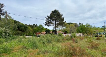 Mimizan Terrain à bâtir - 2522084-1093annonce120260527irl7i.jpeg Maisons Open