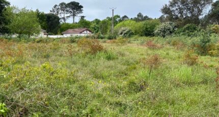 Mimizan Terrain à bâtir - 2522084-1093annonce320260527NBCRi.jpeg Maisons Open
