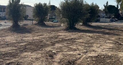 Manosque Terrain à bâtir - 2522070-11714annonce220260527FPlIR.jpeg Maisons Open