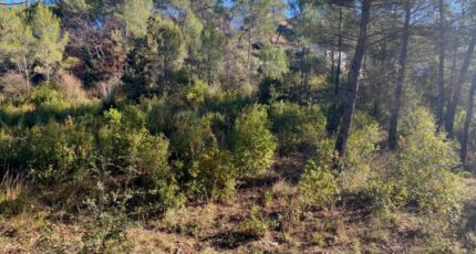 Brignoles Terrain à bâtir - 2522654-5922annonce2202605285qMfh.jpeg Maisons Open