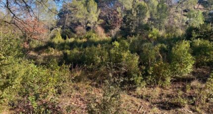 Brignoles Terrain à bâtir - 2522654-5922annonce420260528XxM7Q.jpeg Maisons Open