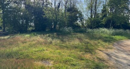 Lesparre-Médoc Terrain à bâtir - 2522675-10624annonce120260528BMJbK.jpeg Maisons Open