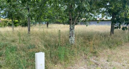 Artigues-près-Bordeaux Terrain à bâtir - 2522628-10994annonce120260528K4IIC.jpeg Maisons Open