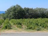  2525116-4671annonce120260529XD36A.jpeg Maisons Open